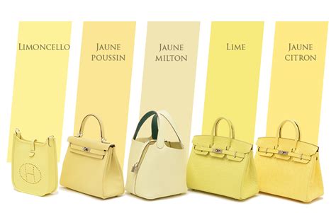 alexander milton hermes|jaune milton hermes.